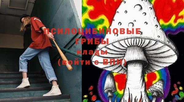 крисы Абинск