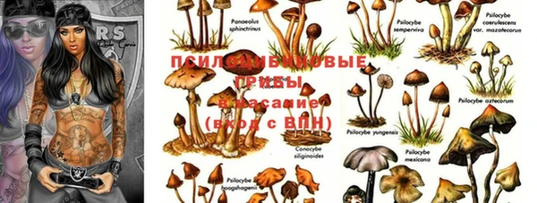круглые Абдулино