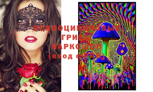 крисы Абинск