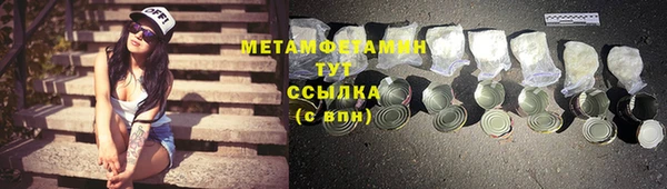 индика Нягань
