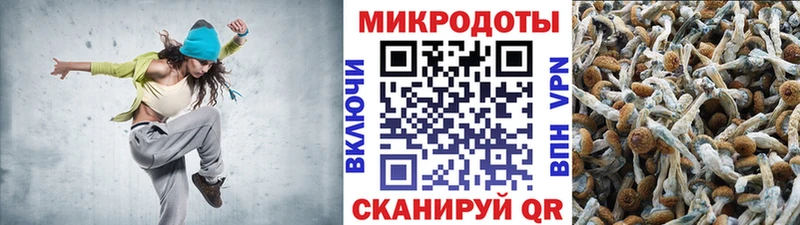 Псилоцибиновые грибы прущие грибы  где купить наркоту  Калач 